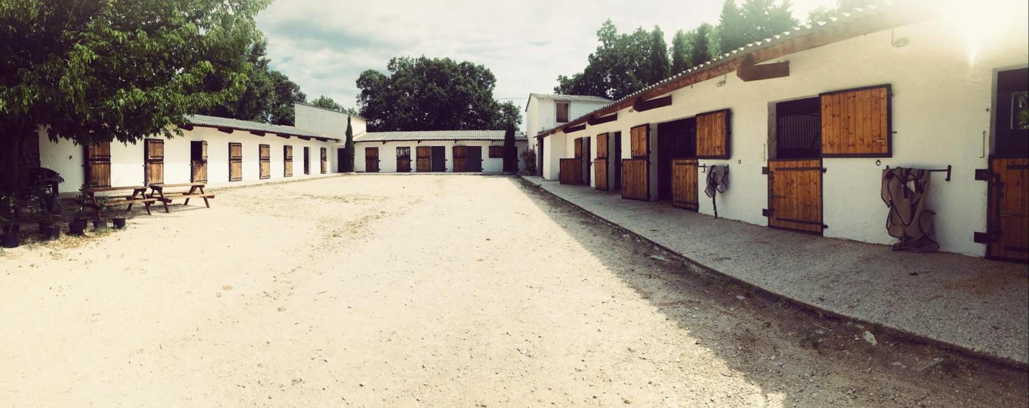 Appartement Maison Au Milieu Des Chevaux *