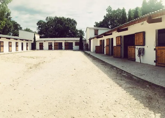 Maison Au Milieu Des Chevaux